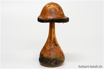 Pilz Apfelbaum geoelt