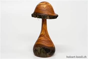 Pilz Apfelbaum geoelt