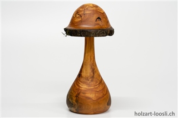 Pilz Apfelbaum geoelt