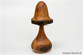 Pilz Apfelbaum geoelt