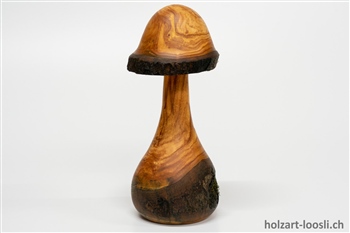 Pilz Apfelbaum geoelt