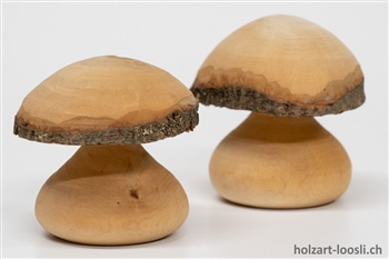 2 Pilze Weidenholz unbehandelt