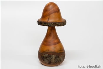 Pilz Apfelbaum geoelt