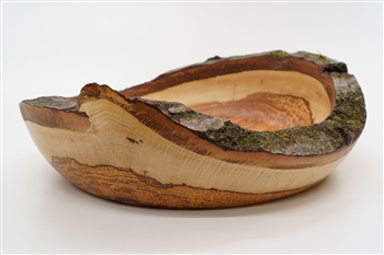 Schale Eiche geoelt
