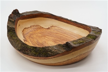 Schale Eiche geoelt