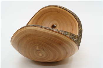 Schale Blauglockenbaum geoelt