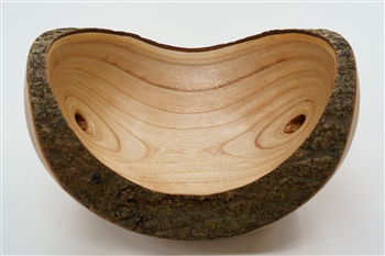 Schale Blauglockenbaum geoelt