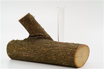 Vase Eiche geoelt